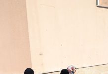 Administrative Structure and Treasury Oversight in the Ottoman Empire