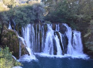 The Insider’s Revenge