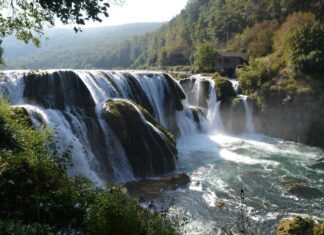 Purpose of the Journey