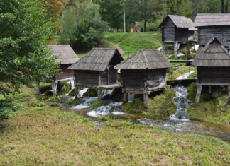 Pietro Zen’s Detailed Description