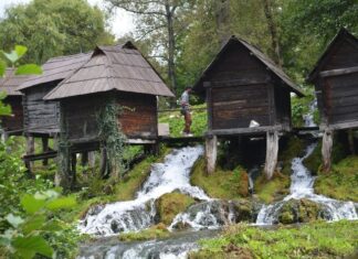 Homage of the State Dignitaries