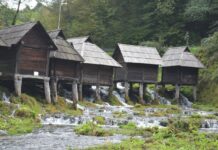 Triumphs and the Role of the Hebdomon